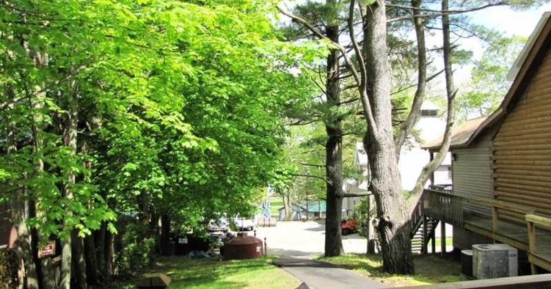 Depe Dene Resort Lake George Luaran gambar
